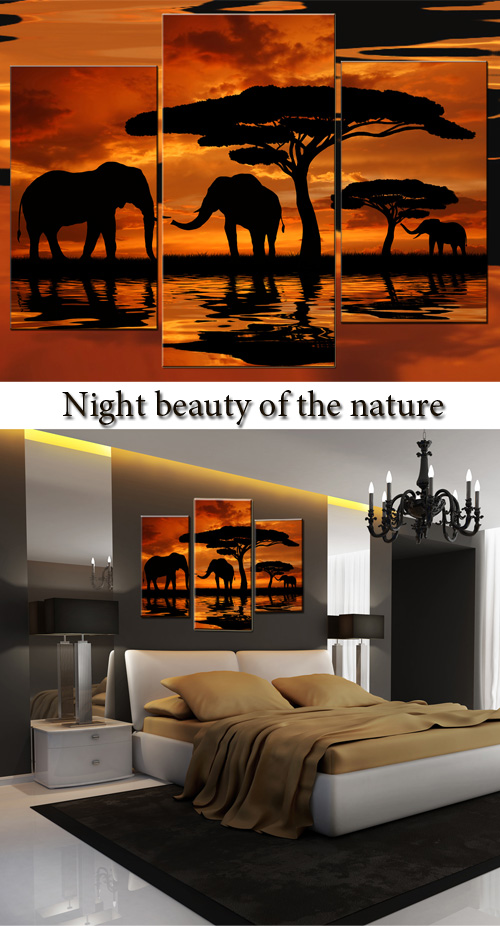 Triptyches, Fourplex - Night beauty of the nature